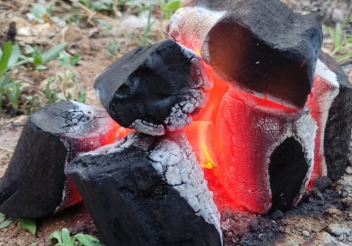 WhatsApp-Image-2024-10-01-at-12.11.51