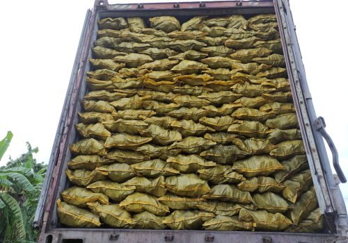 WhatsApp-Image-2024-11-23-at-16.40.29-scaled